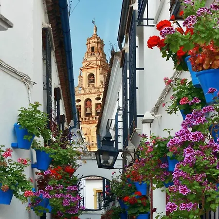 Apartamento Victoria 13 Romántico En El Centro De *
